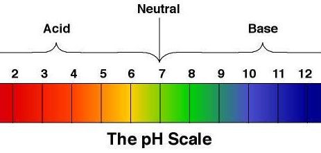 The pH scale