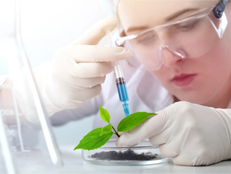 A scientist studying a seedling close-up