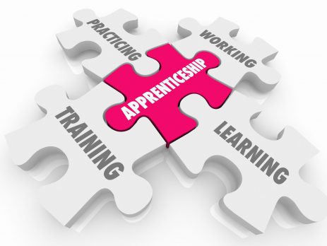 Graphic of a jigsaw highlighting a pink piece with the word APPRENTICESHIP