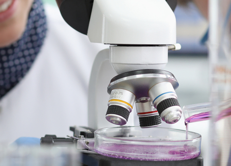 Scientist adding chemicals to a petri dish under a microscope