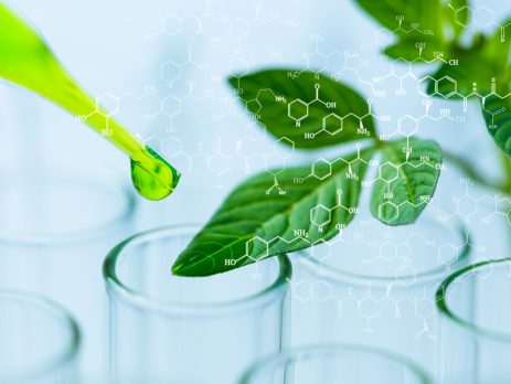 Pipette over test tube dropping sample chemical into sample plant