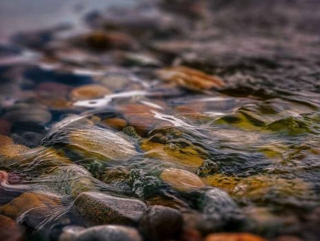 An image of shallow stream of water covering over rocks