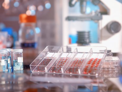 Scientific background with modern histopathology tools