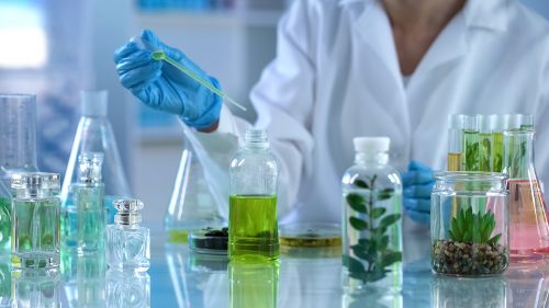 A scientist exploring aromatic chemistry