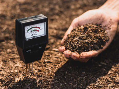 A soil meter measuring the pH of the soil it's in.