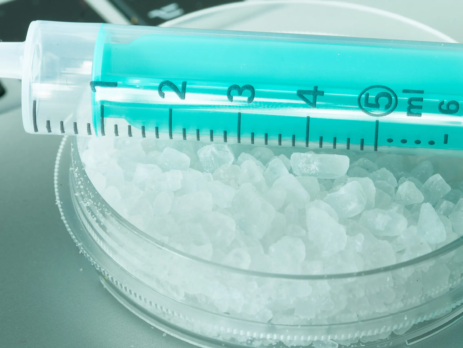 Salt displayed in a dish