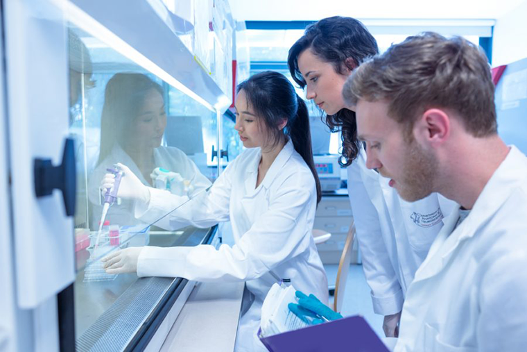 Chemistry students working in a lab