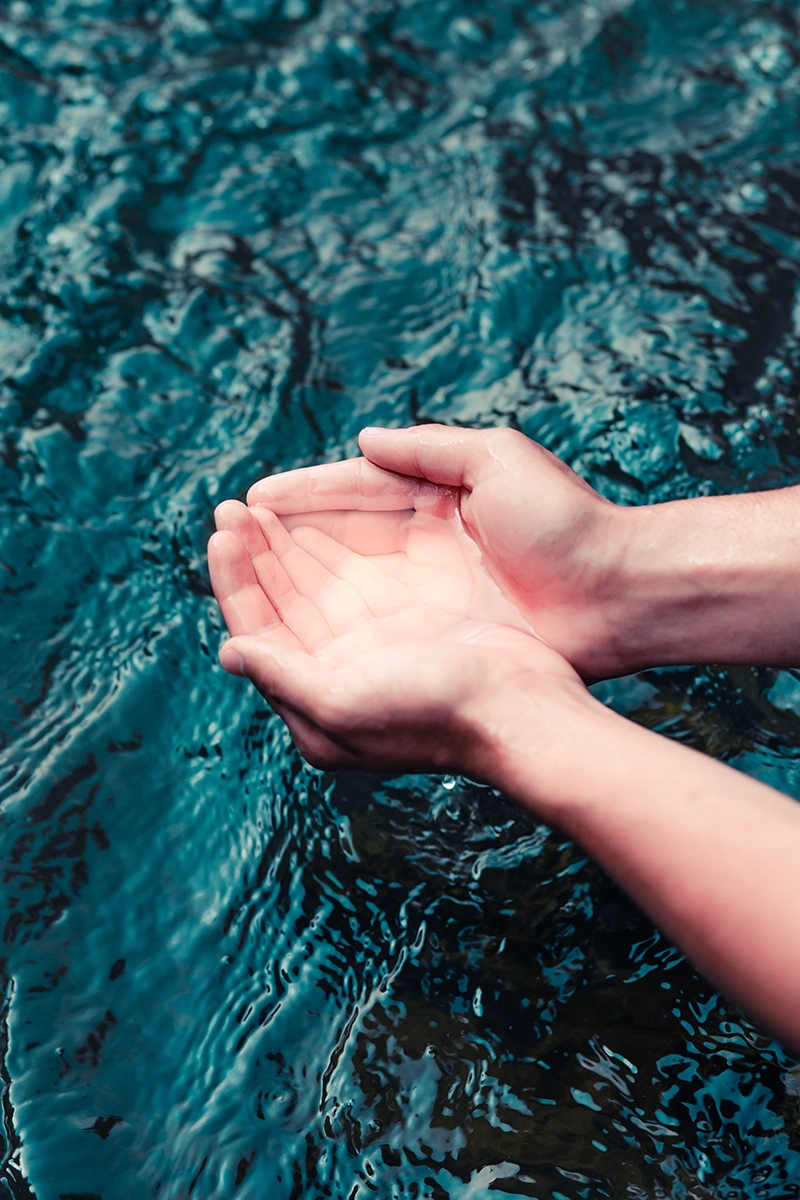 A puddle of water being scooped up by someone's hands