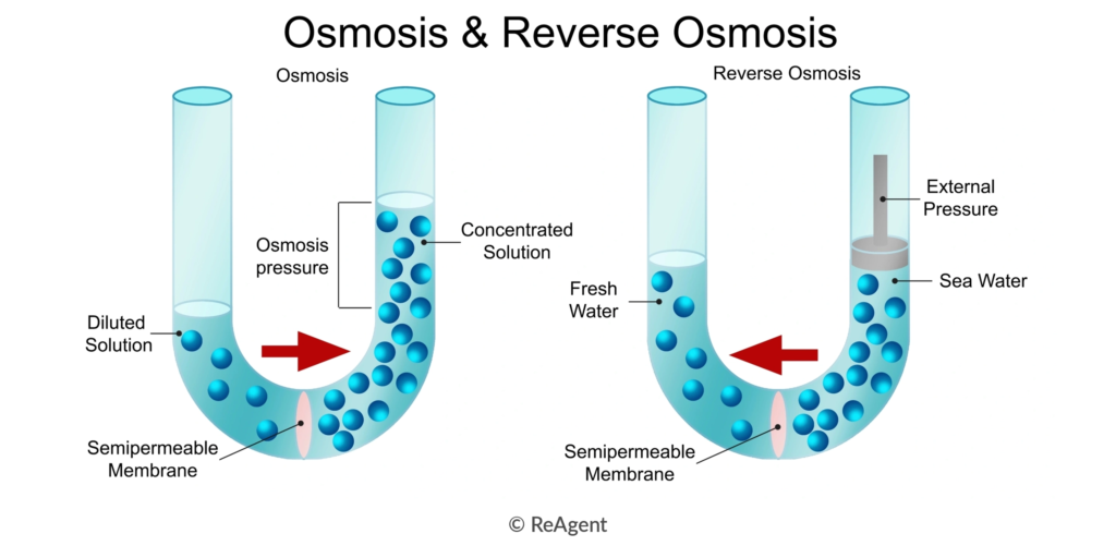 Graphic showing osmosis vs. reverse osmosis