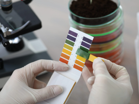 Scientist using litmus paper to test whether a substance is an acid or a base.