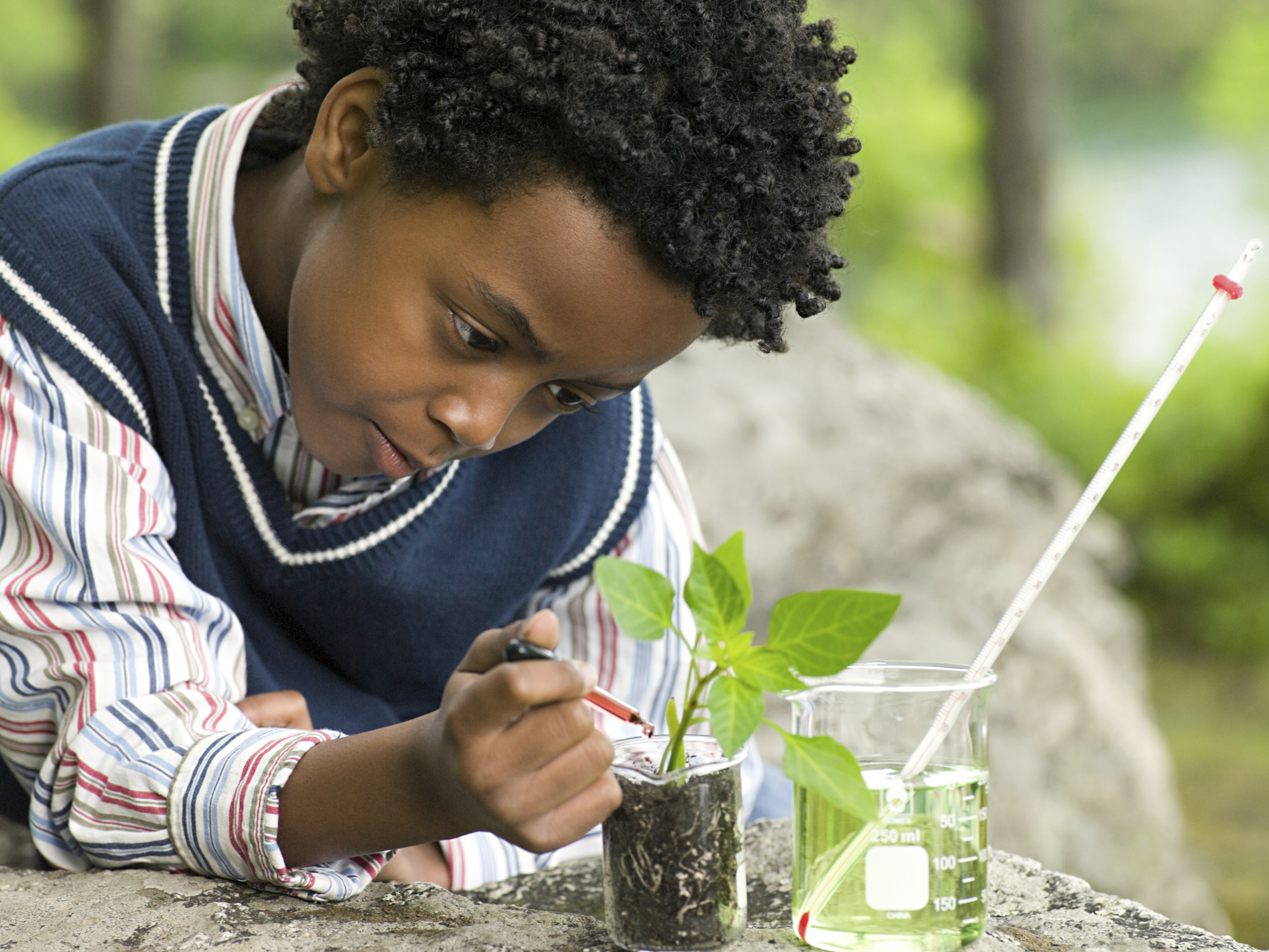 Yound boy doing easy science experiments with plants