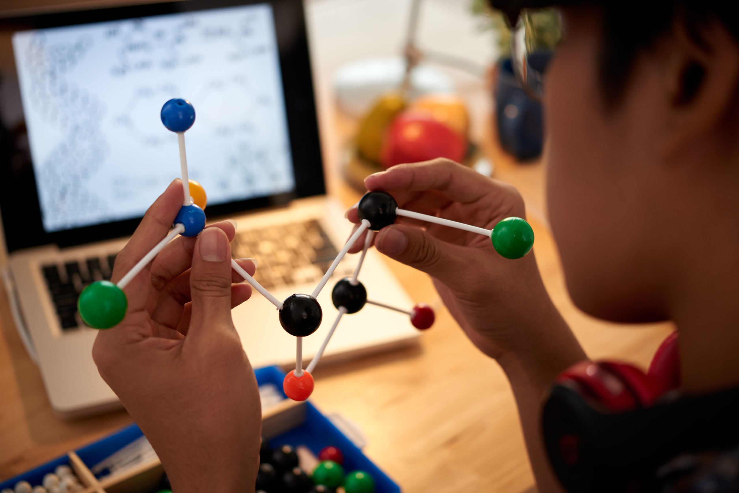 Teenager holding molecular model in front of laptop